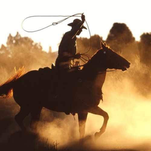 Văn hóa Cowboy xứ Mỹ 