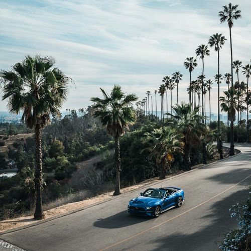 Các mức phạt vi phạm giao thông tại California, Hoa Kỳ