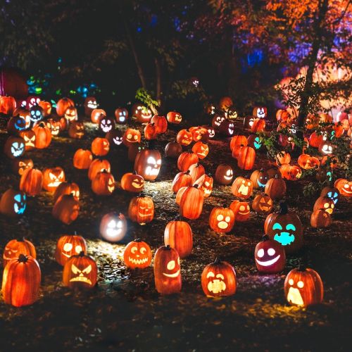 Các hoạt động chào đón Halloween 2026 tại California, Hoa Kỳ
