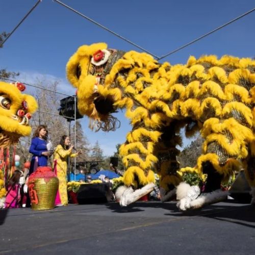 Các hoạt động mừng tết Nguyên Đán 2026 trong cộng đồng người Việt tại California