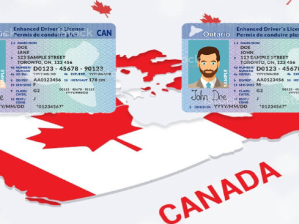 Các yêu cầu về cấp bằng lái xe tại Canada
