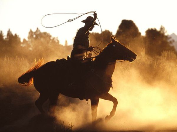 Văn hóa Cowboy xứ Mỹ 