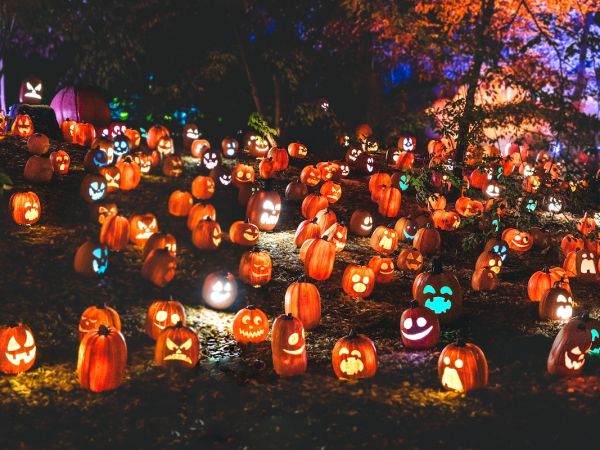 Các hoạt động chào đón Halloween 2026 tại California, Hoa Kỳ