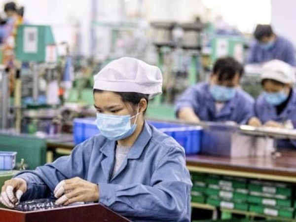 Thống kê số lao động Việt Nam hiện nay tại Nhật Bản là bao nhiêu ?