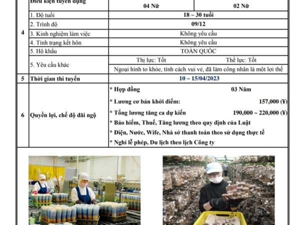 Thực tập sinh Nhật Bản - Ngành Trồng trọt tại Fukuoka