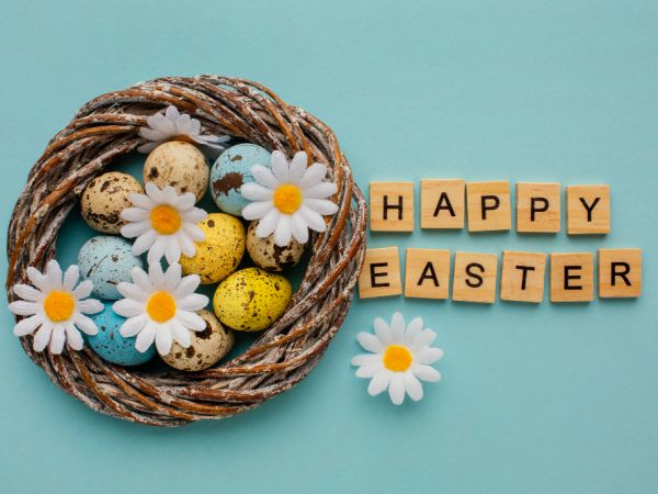 Easter Day là ngày gì ?  Vì sao Easter Day lại có thỏ và trứng ?