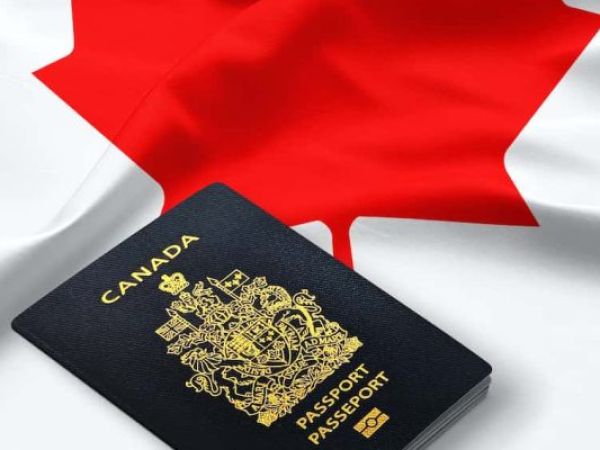 Các quyền lợi và tự do của bạn khi định cư tại Canada