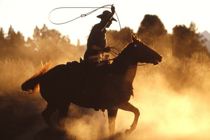 Văn hóa Cowboy xứ Mỹ 