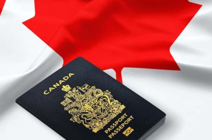 Các quyền lợi và tự do của bạn khi định cư tại Canada