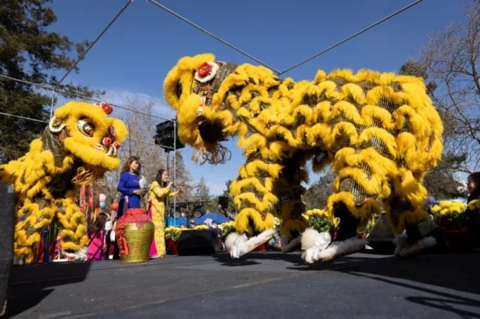 Các hoạt động mừng tết Nguyên Đán 2026 trong cộng đồng người Việt tại California