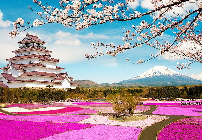 Thời điểm nào thì nên đi du lịch Nhật Bản ?